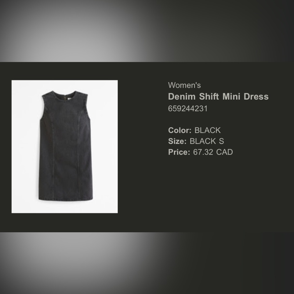Abercrombie Denim Shift Dress